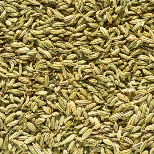 AAJI FENNEL