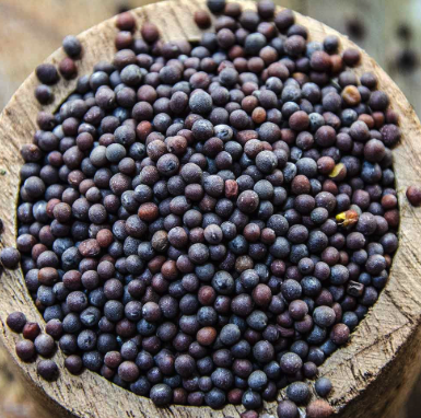 MADHU BLACK MUSTARD