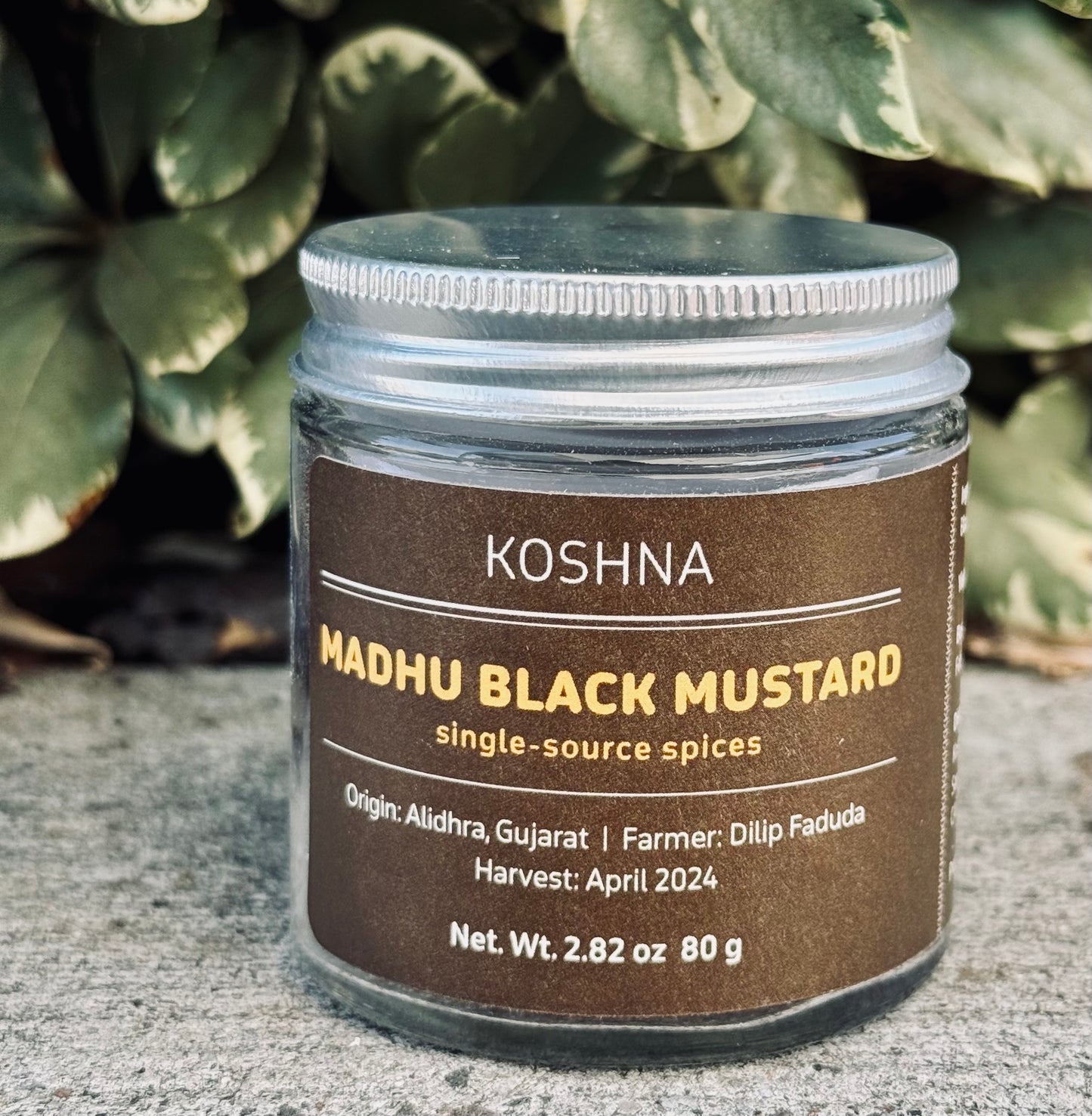 MADHU BLACK MUSTARD